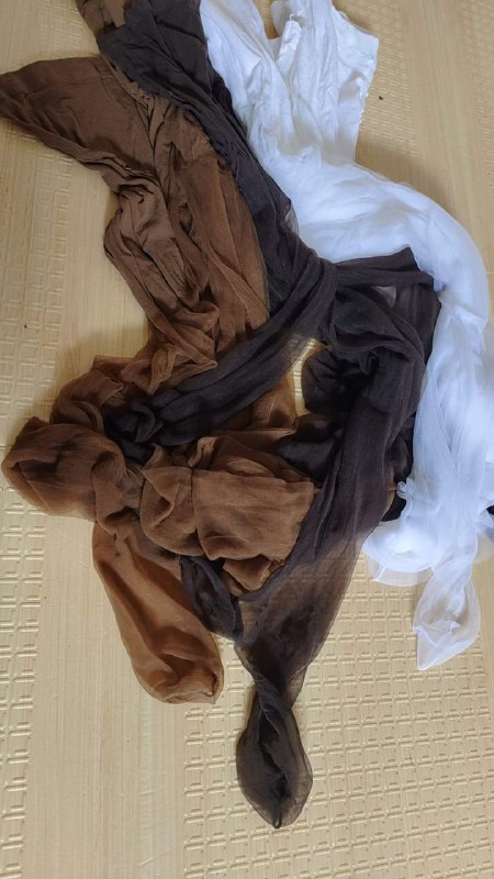 Photo gallery from 20230803, image 12