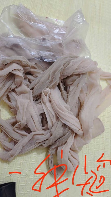 Photo gallery from 20250814, image 9