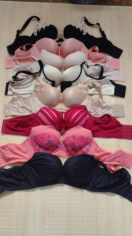 Photo gallery from 20231104, image 7