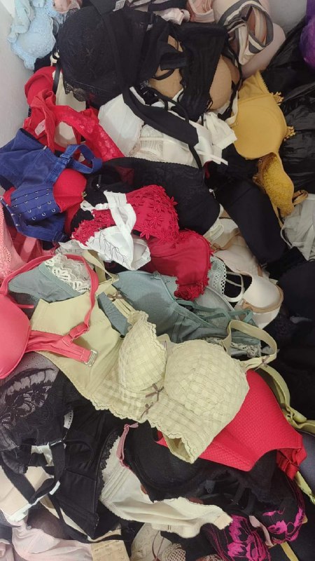 Photo gallery from 20240122, image 5