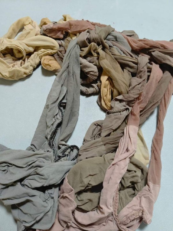 Photo gallery from 20231022, image 7