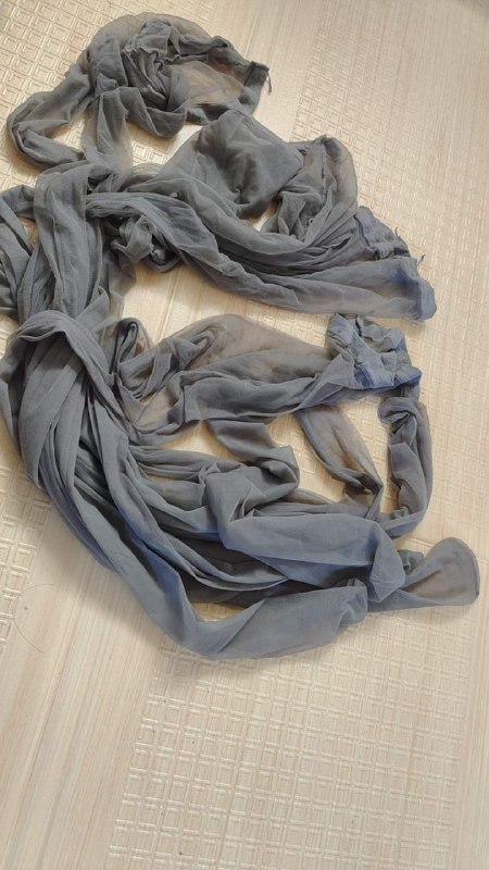 Photo gallery from 20231031, image 12