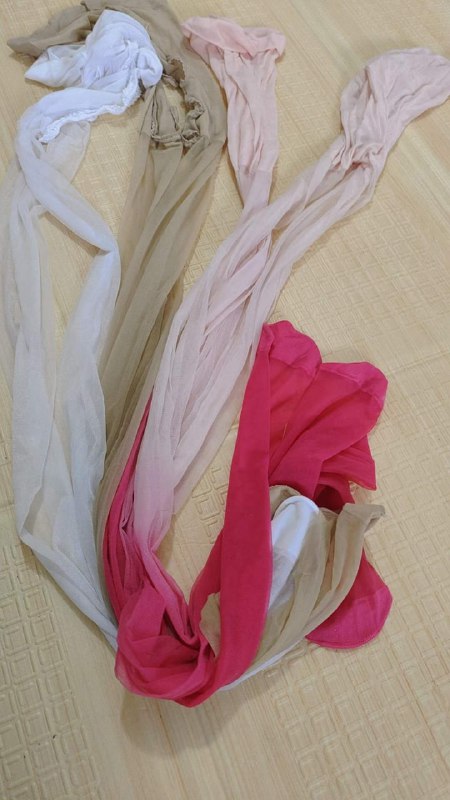 Photo gallery from 20240529, image 12