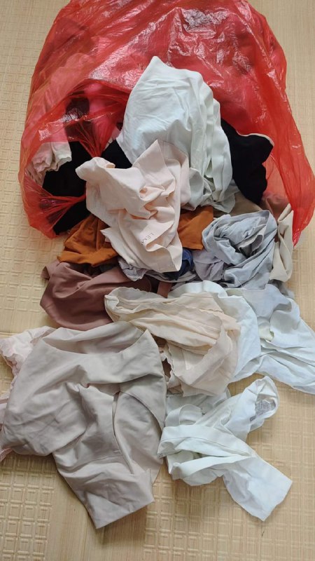 Photo gallery from 20231114, image 11