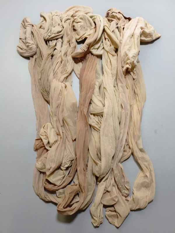 Photo gallery from 20240316, image 6