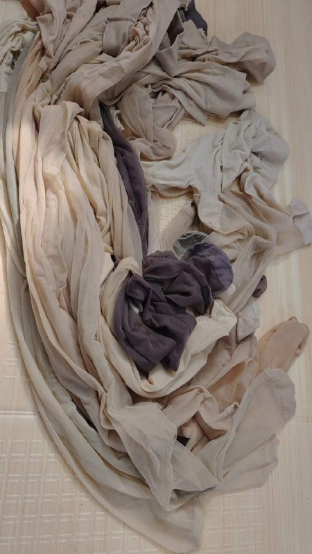 Photo gallery from 20240322, image 5