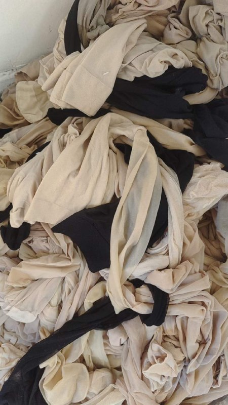 Photo gallery from 20231105, image 9