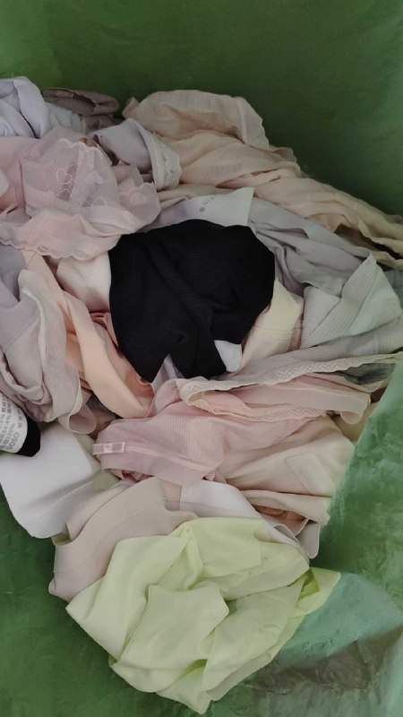 Photo gallery from 20251115, image 9