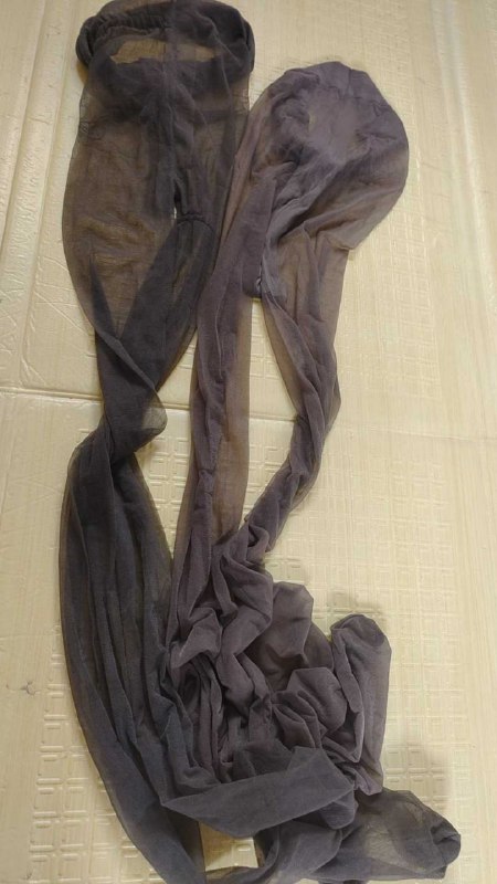 Photo gallery from 20250911, image 6