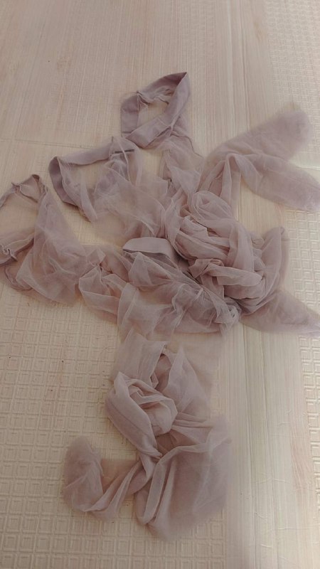 Photo gallery from 20230726, image 9