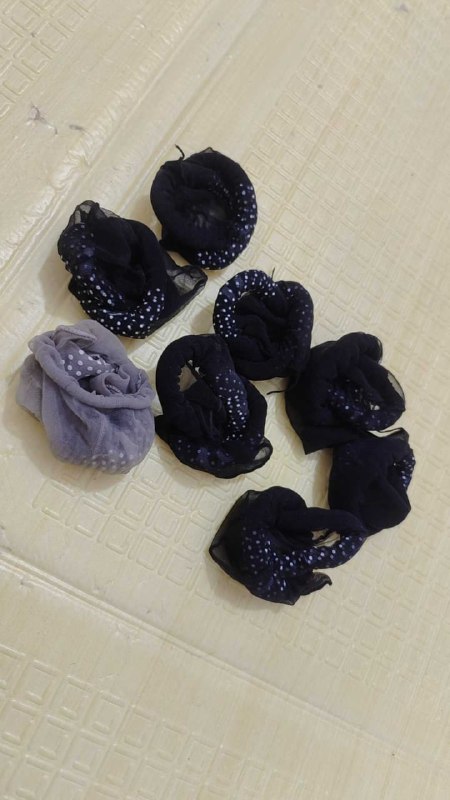 Photo gallery from 20251024, image 10