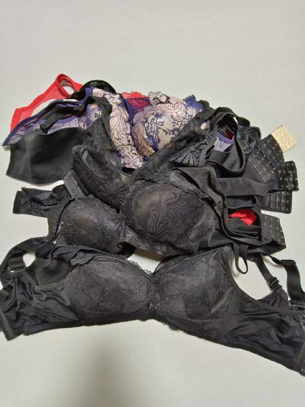 Photo gallery from 20230720, image 12