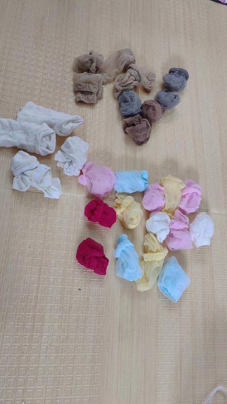 Photo gallery from 20231009, image 12