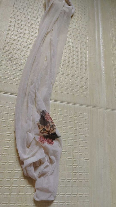 Photo gallery from 20250810, image 5