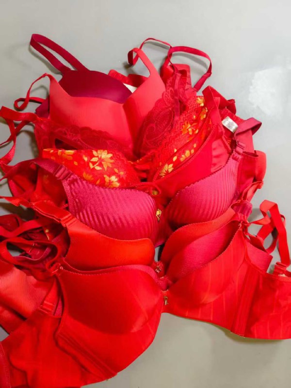 Photo gallery from 20251114, image 6