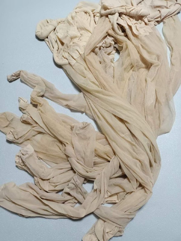 Photo gallery from 20230625, image 10