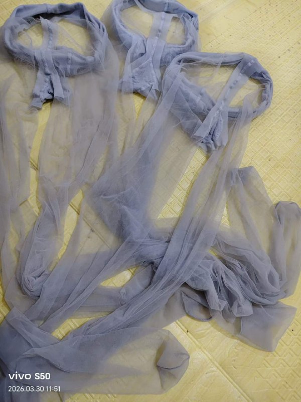 Photo gallery from 20260330, image 5