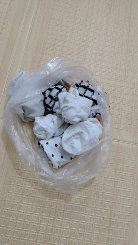 Photo gallery from 20240504, image 5