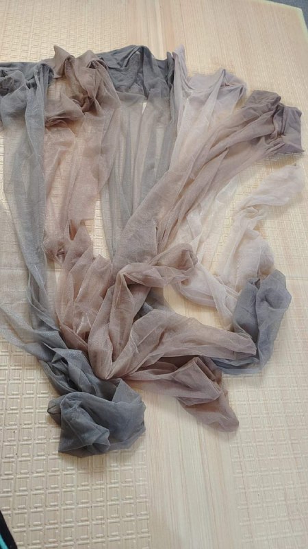 Photo gallery from 20231126, image 9