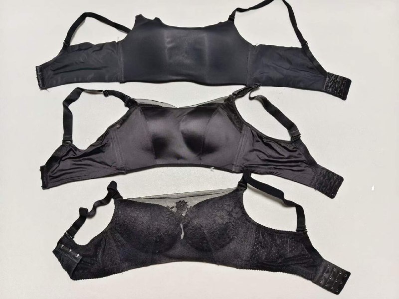 Photo gallery from 20231108, image 6