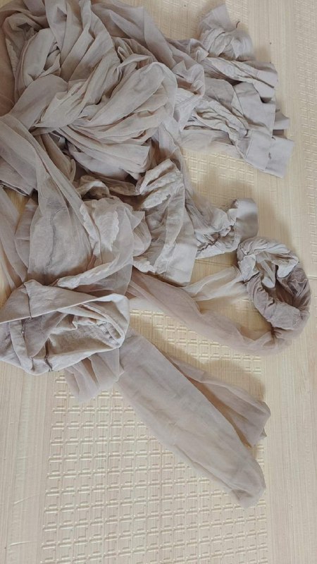 Photo gallery from 20230711, image 5