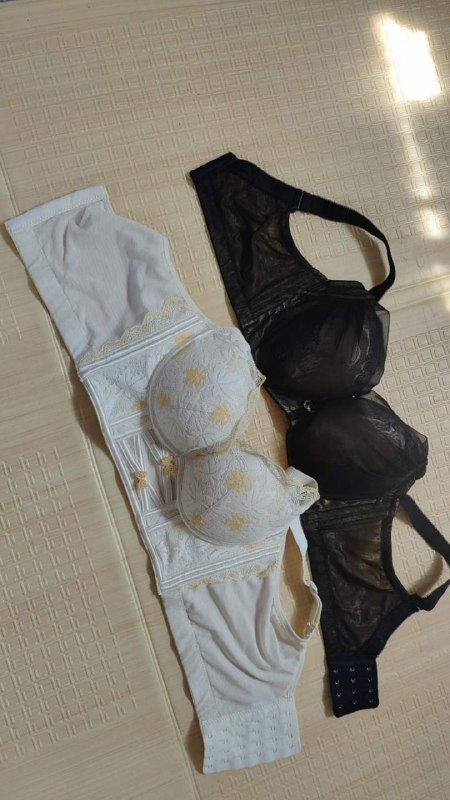 Photo gallery from 20230814, image 5