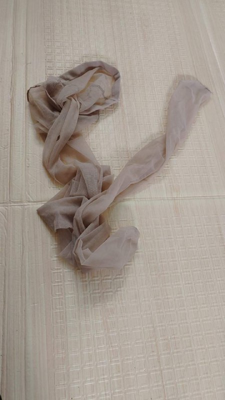 Photo gallery from 20231006, image 5