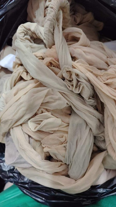 Photo gallery from 20230825, image 12