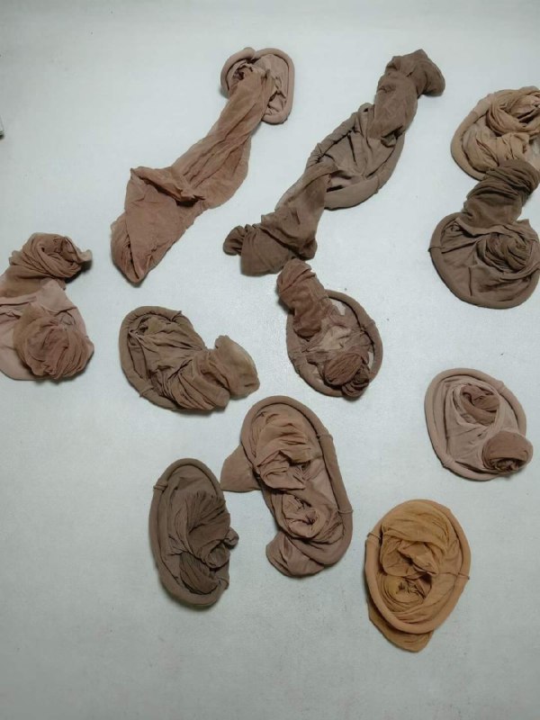 Photo gallery from 20231201, image 5