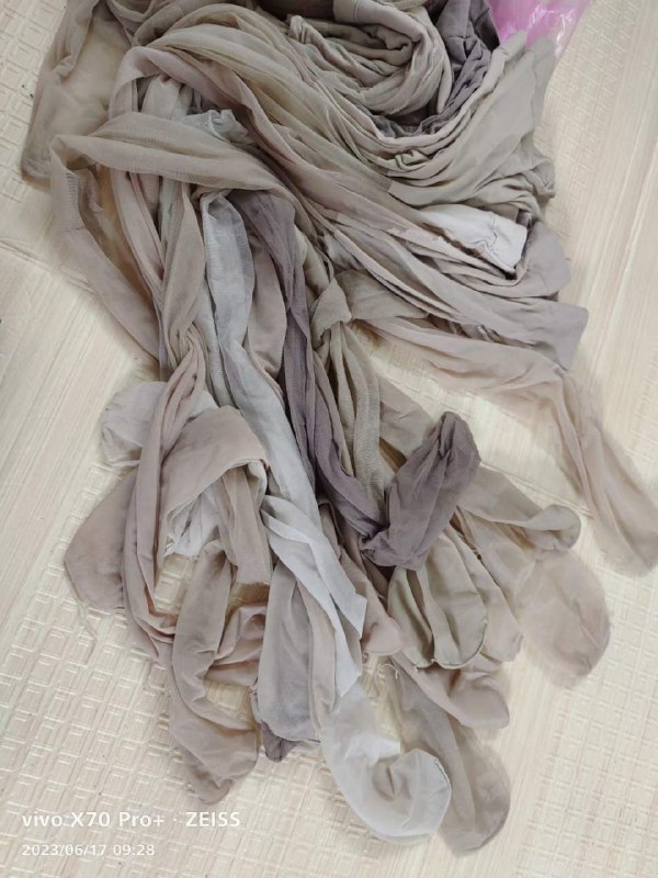 Photo gallery from 20230617, image 11