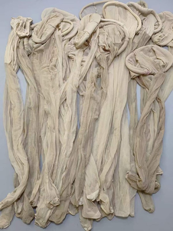 Photo gallery from 20240307, image 5