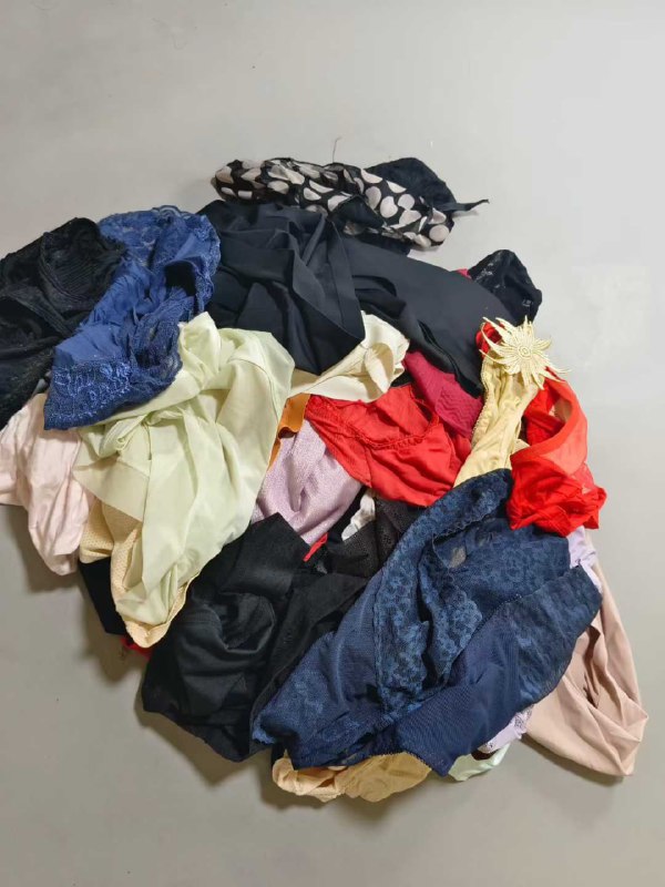 Photo gallery from 20250910, image 11