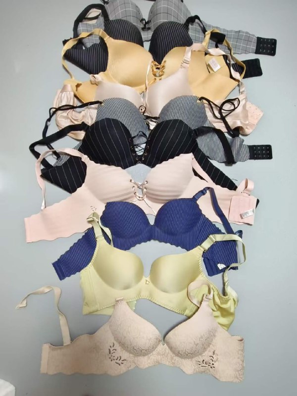 Photo gallery from 20230803, image 5