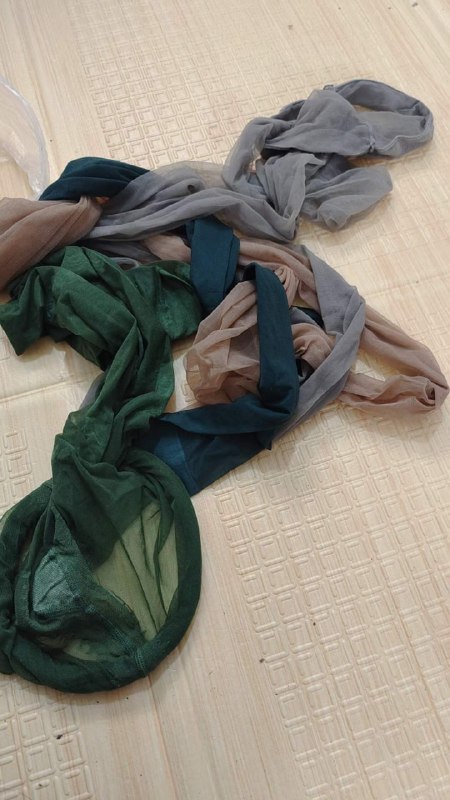 Photo gallery from 20240110, image 10