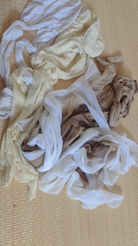 Photo gallery from 20230726, image 10