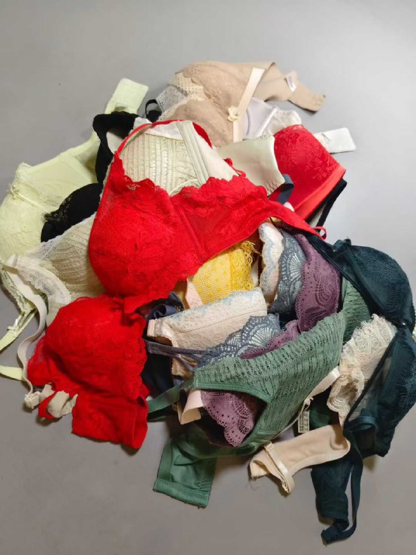 Photo gallery from 20250902, image 5