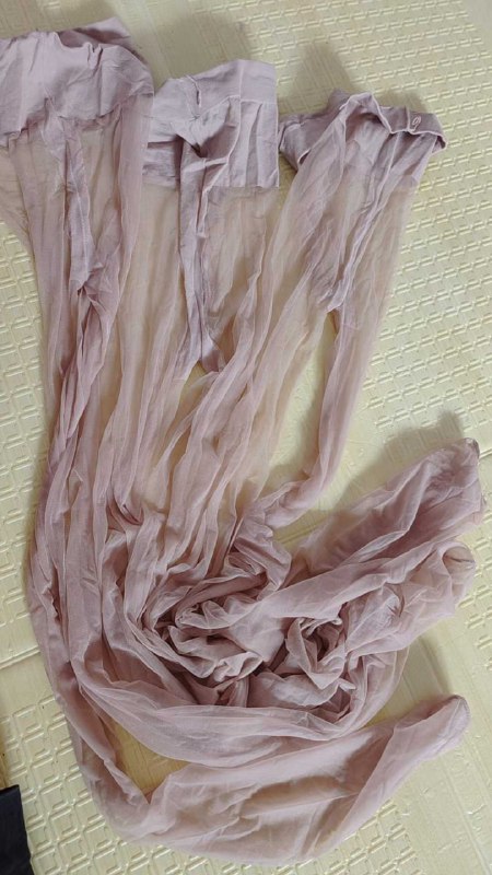 Photo gallery from 20250725, image 6