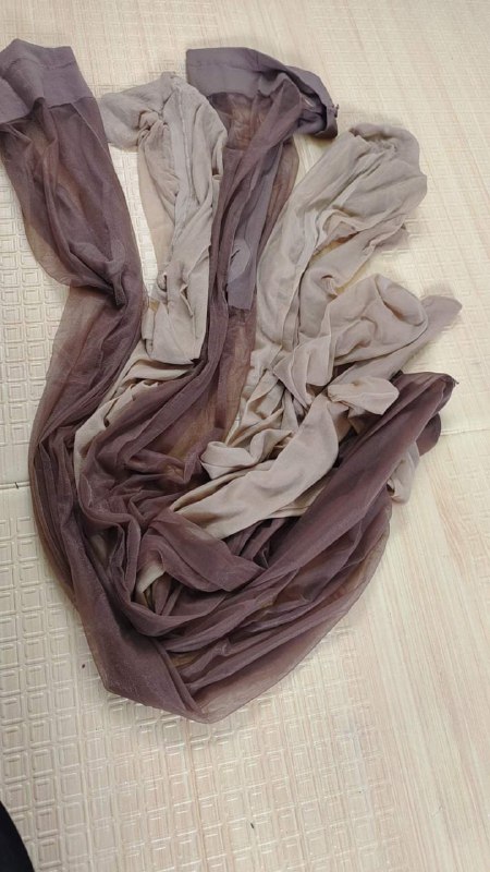 Photo gallery from 20231009, image 10