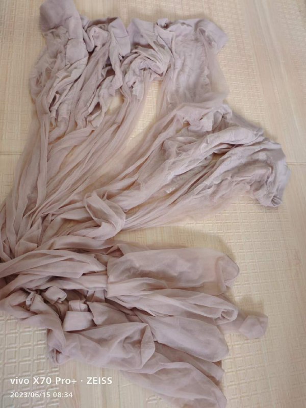 Photo gallery from 20230615, image 8