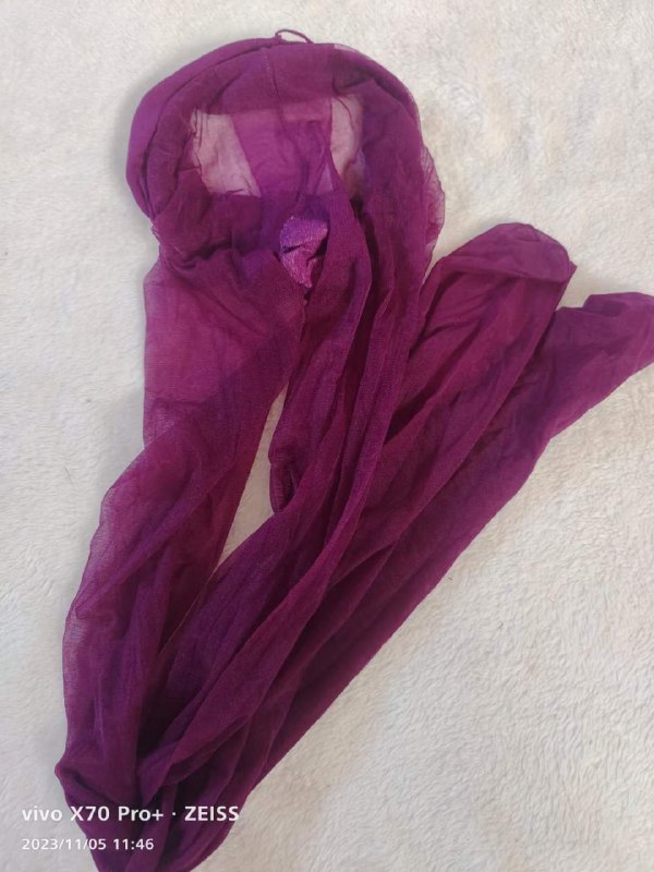 Photo gallery from 20231105, image 10