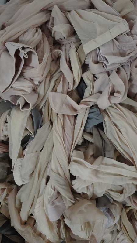 Photo gallery from 20250727, image 12