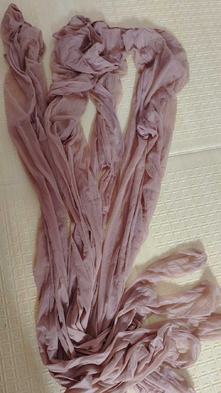 Photo gallery from 20250725, image 8