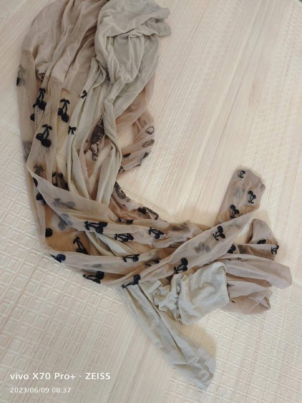 Photo gallery from 20230609, image 9