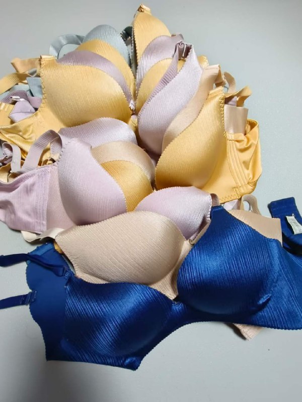 Photo gallery from 20230813, image 12