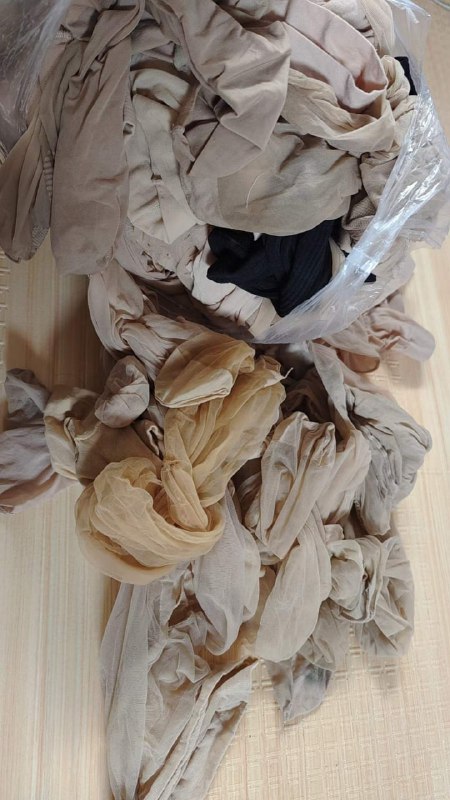 Photo gallery from 20231026, image 8