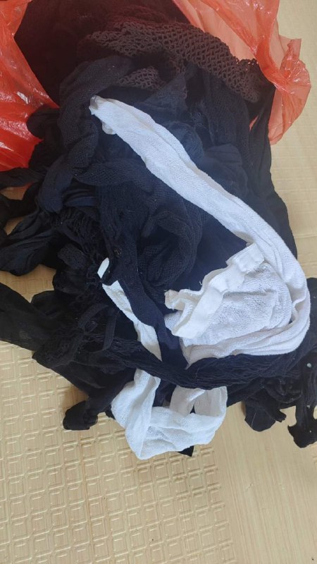 Photo gallery from 20230722, image 12