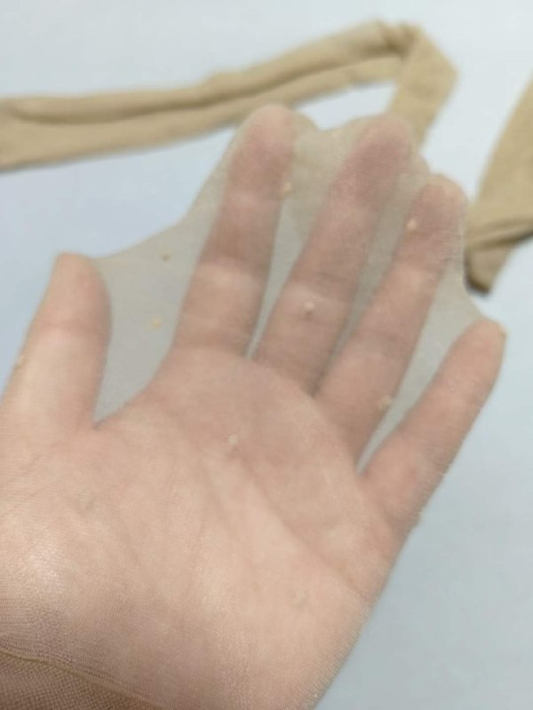 Photo gallery from 20230803, image 3