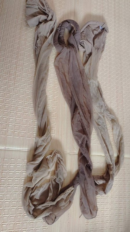 Photo gallery from 20230807, image 12