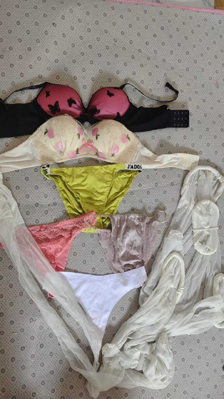 Photo gallery from 20250925, image 12