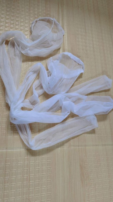 Photo gallery from 20230808, image 10